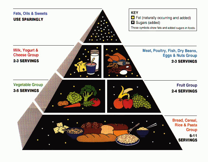 USDA food pyramid 1992 to 2005