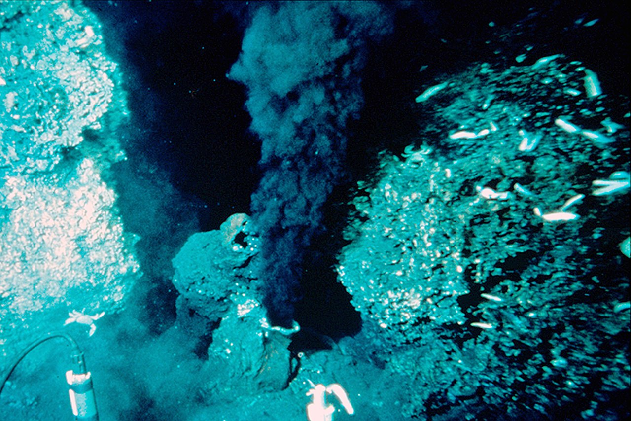 A black smoker on the East Pacific Rise