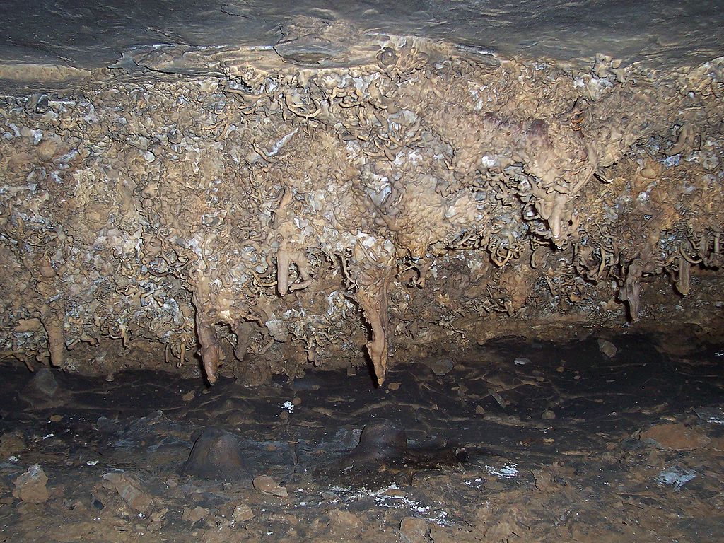 Helictite formations in Wyandotte Caves, Indiana