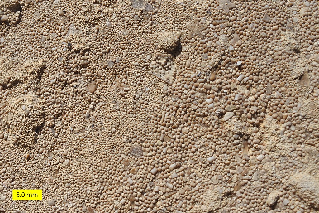 Ooids in limestone of the Middle Jurassic Carmel Formation in Southwestern Utah