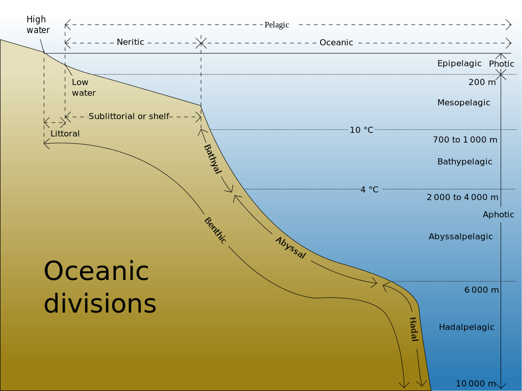 Ocean divisions