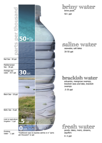 Water salinity