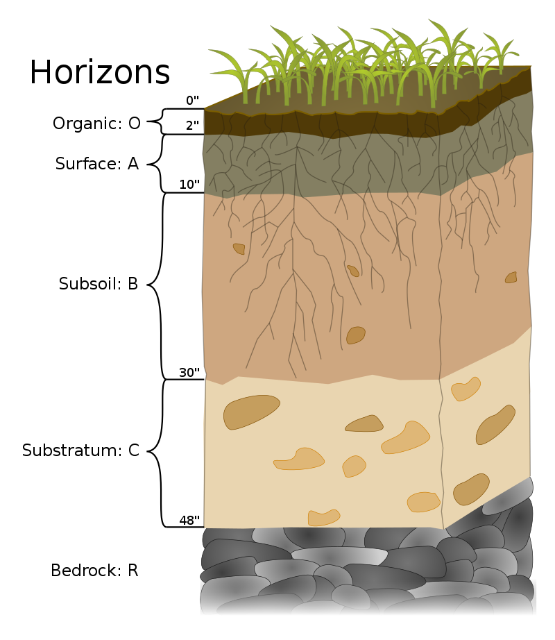 Soil profile with bedrock